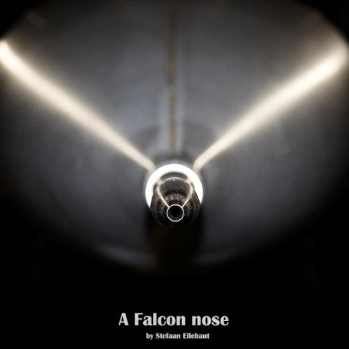 falcon_nose