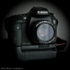 Canon EOS 7D + Canon 50mm f/1.8 II